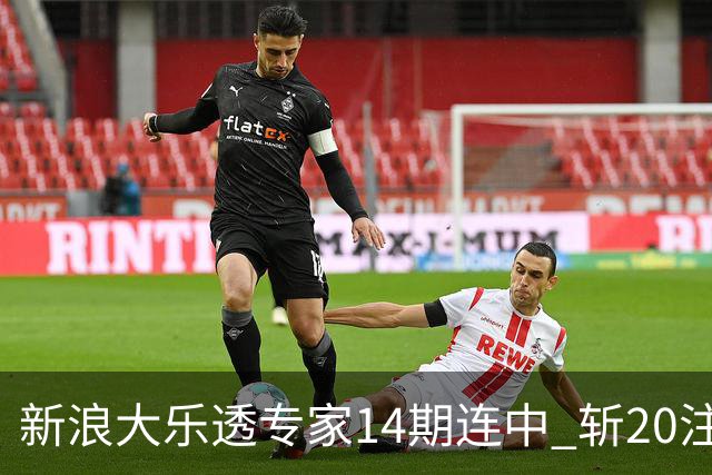 新浪大乐透专家14期连中 斩20注头奖揽超2亿！