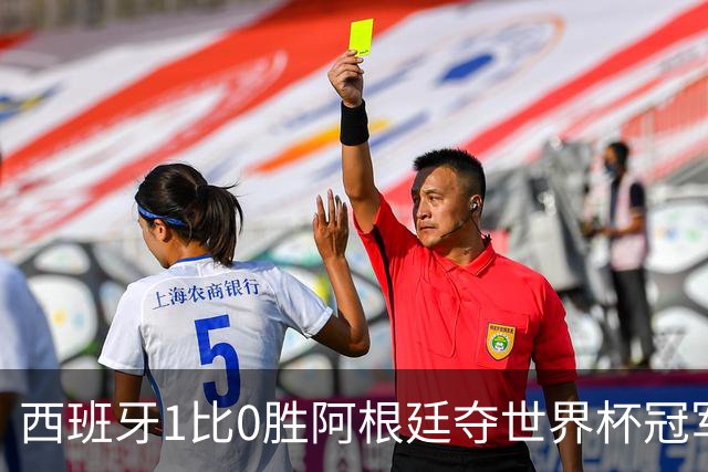 西班牙1比0胜阿根廷夺世界杯冠军，托雷斯加时绝杀
